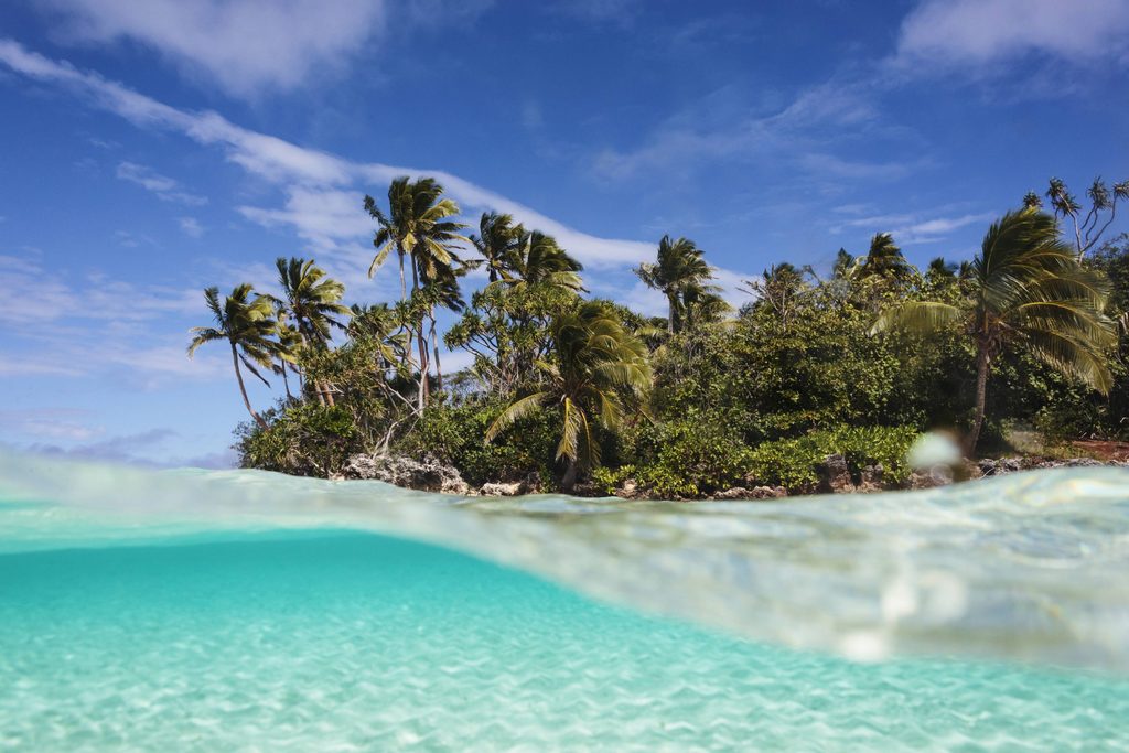 Palmen und Strand