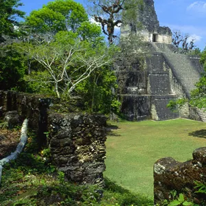 Bei einem Ausflug zur Maya-Stadt Tikal verschwand der Lübecker Stephan B. († 53) und wurde tot wieder aufgefunden.