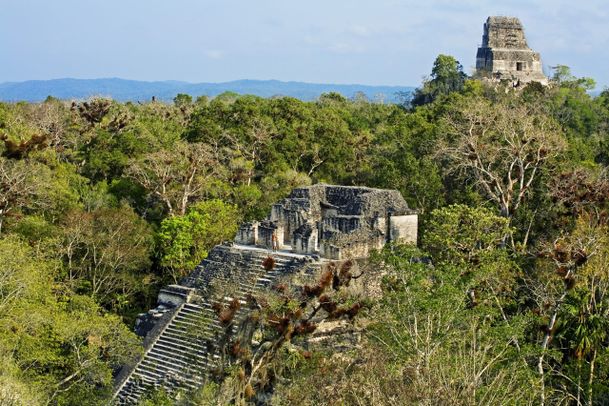 Nur der Haupt-Tempel und einige Pfade in Tikal sind freigelegt. Die restliche Anlage ist im Urwald versteckt und kann von Touristen selbst erkundet werden. 