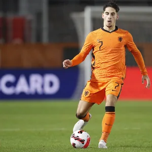 HSV-Profi Ludovit Reis