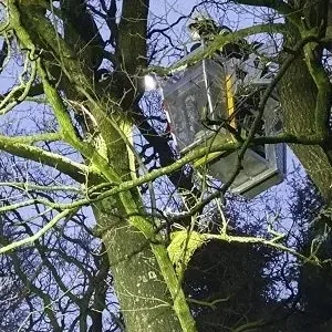 Die Feuerwehr in Ihlow (Landkreis Aurich) rettete am Sonntag eine Katze aus neun Metern Höhe.