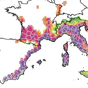 Risikokarte für die Ausbreitung des Chikungunya-Virus in Europa.