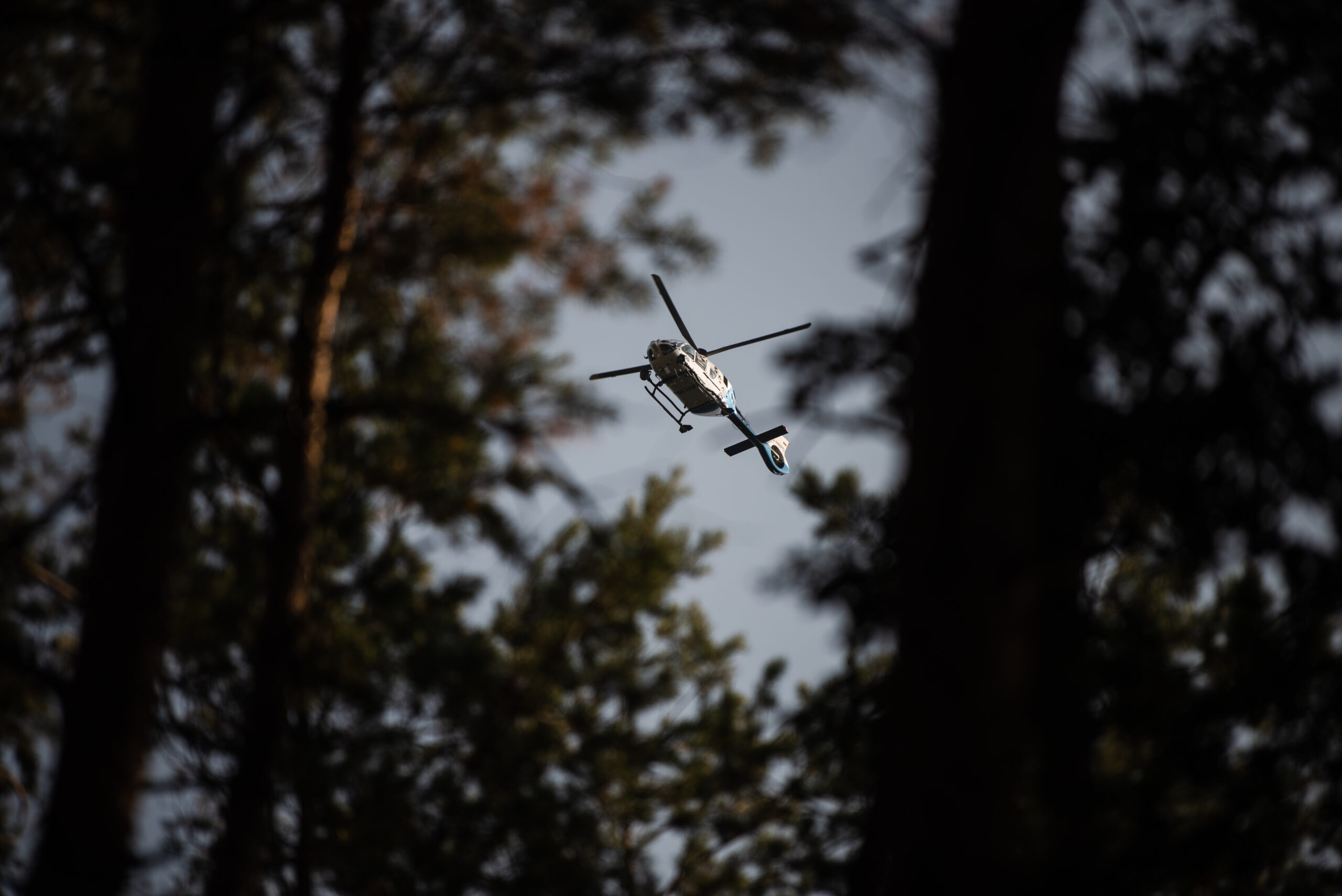 Ein Polizeihubschrauber half einer Seniorin aus einem Waldstrück bei Hamburg. (Symbolbild)