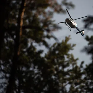 Ein Polizeihubschrauber half einer Seniorin aus einem Waldstrück bei Hamburg. (Symbolbild)