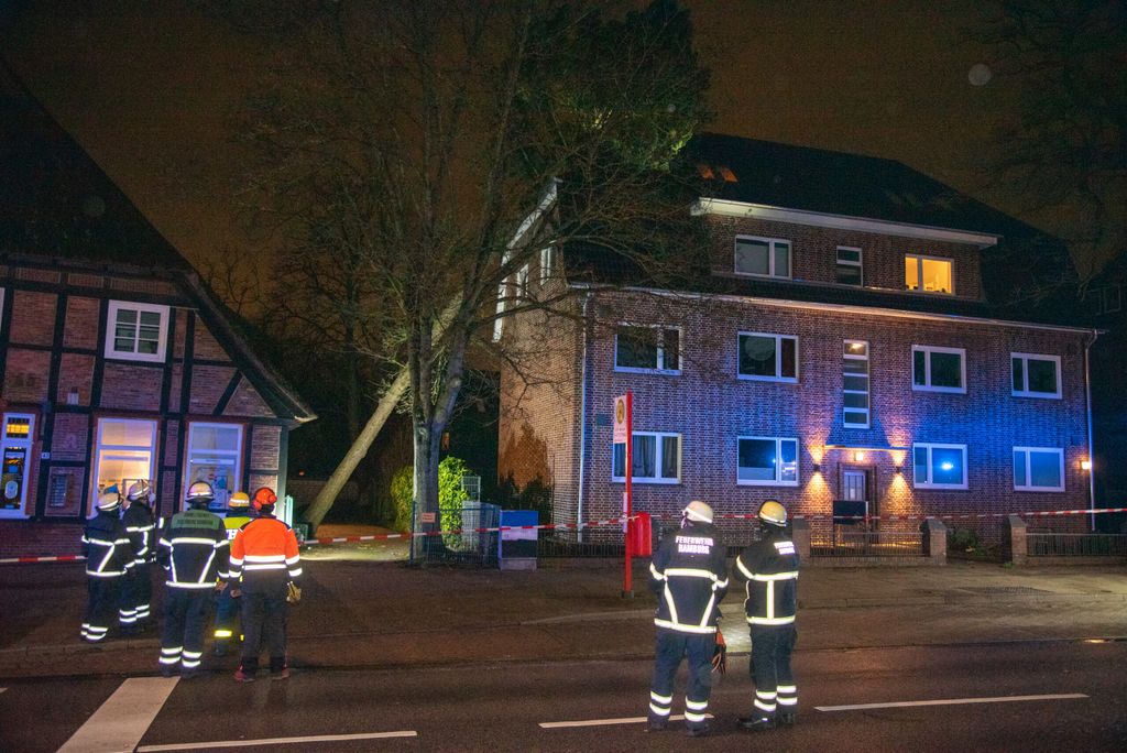 An der Heimfelder Straße in Heimfeld kippte ein Baum gegen ein Wohnhaus.