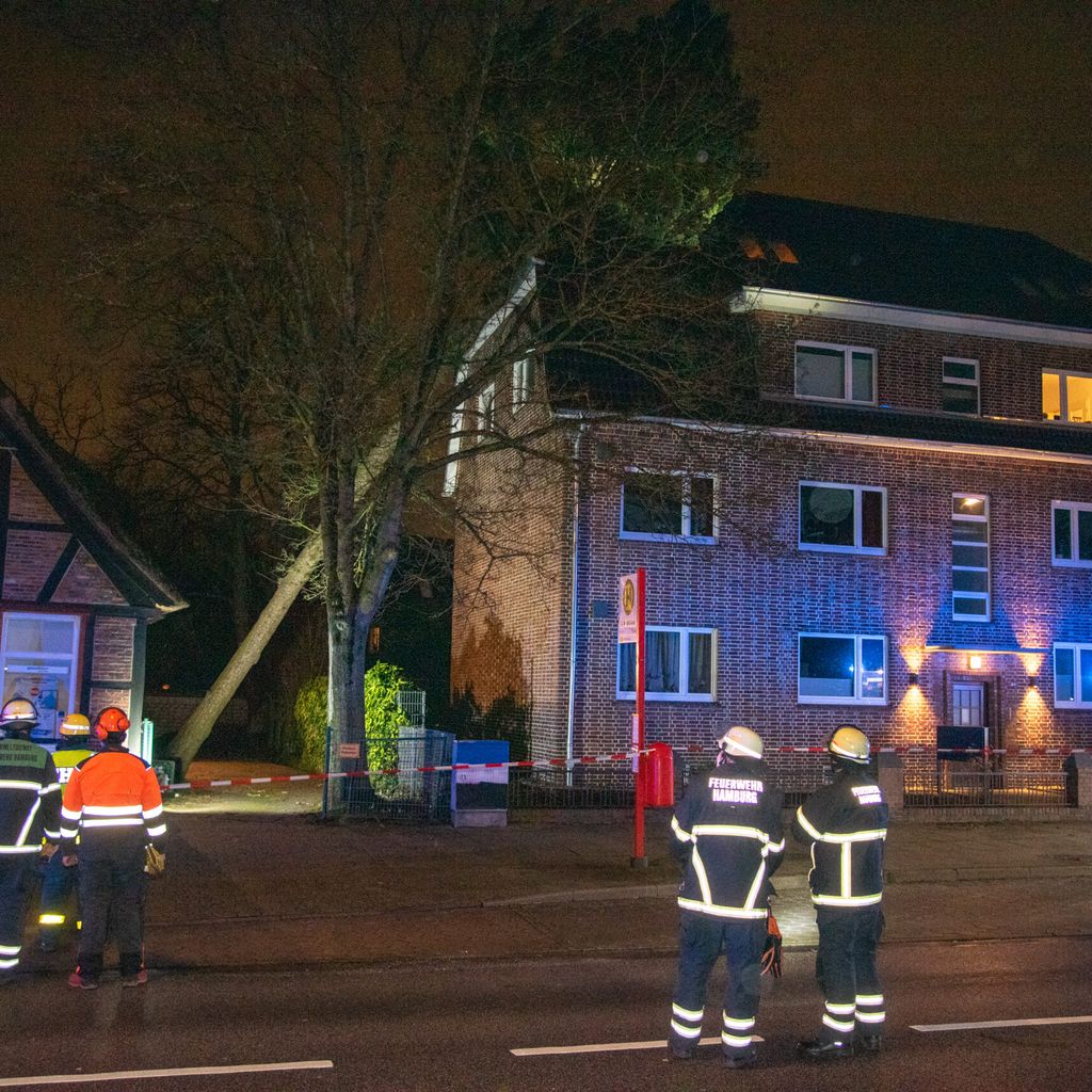 An der Heimfelder Straße in Heimfeld kippte ein Baum gegen ein Wohnhaus.