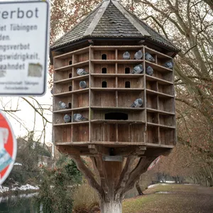 Ein Taubenturm in Tübingen – die Taubenschlage können aber auch in Innenräumen liegen.