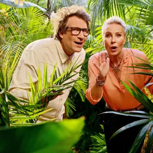IBES-Moderatoren