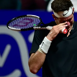 Juan Martin del Potro