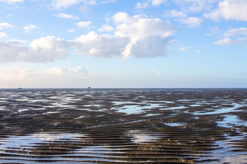 Das Wattenmeer vor Büsum