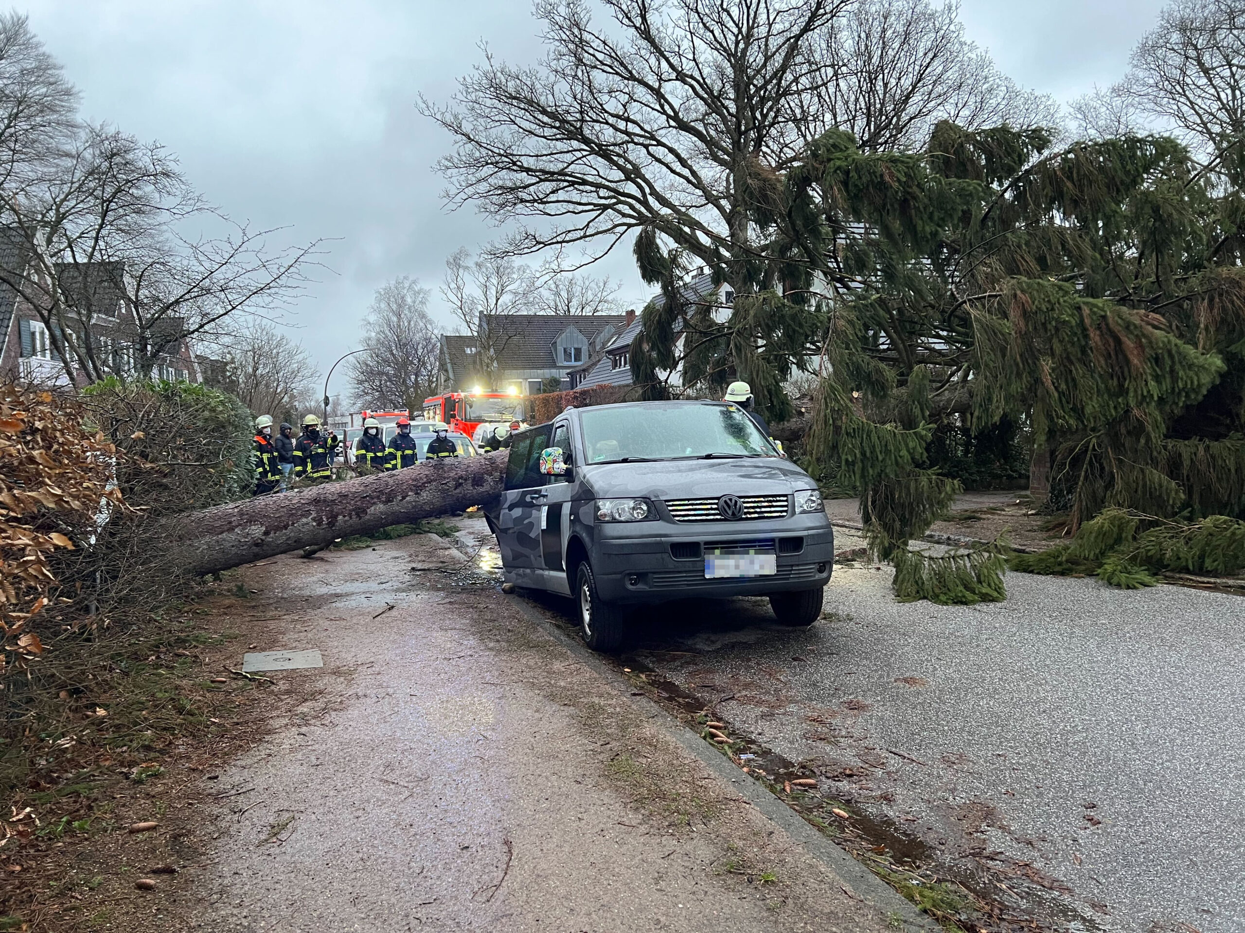 Auf der Straße Hasenhöhe an der Ecke Willhöden legte sich ein umstürzender Baum über die Fahrbahn.