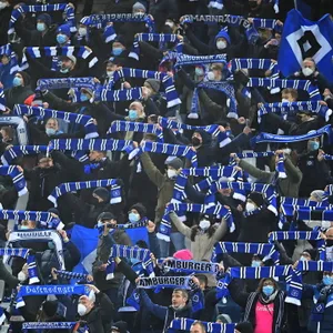 HSV-Fans