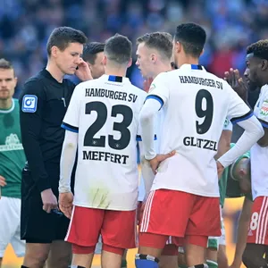 Schiedsrichter Daniel Siebert im Gespräch mit den HSV-Profis