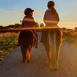 Ausreiten auf Eiderstedt