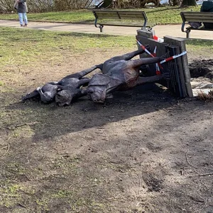 Die Skulptur an der Alster wurde über Nacht umgeworfen.