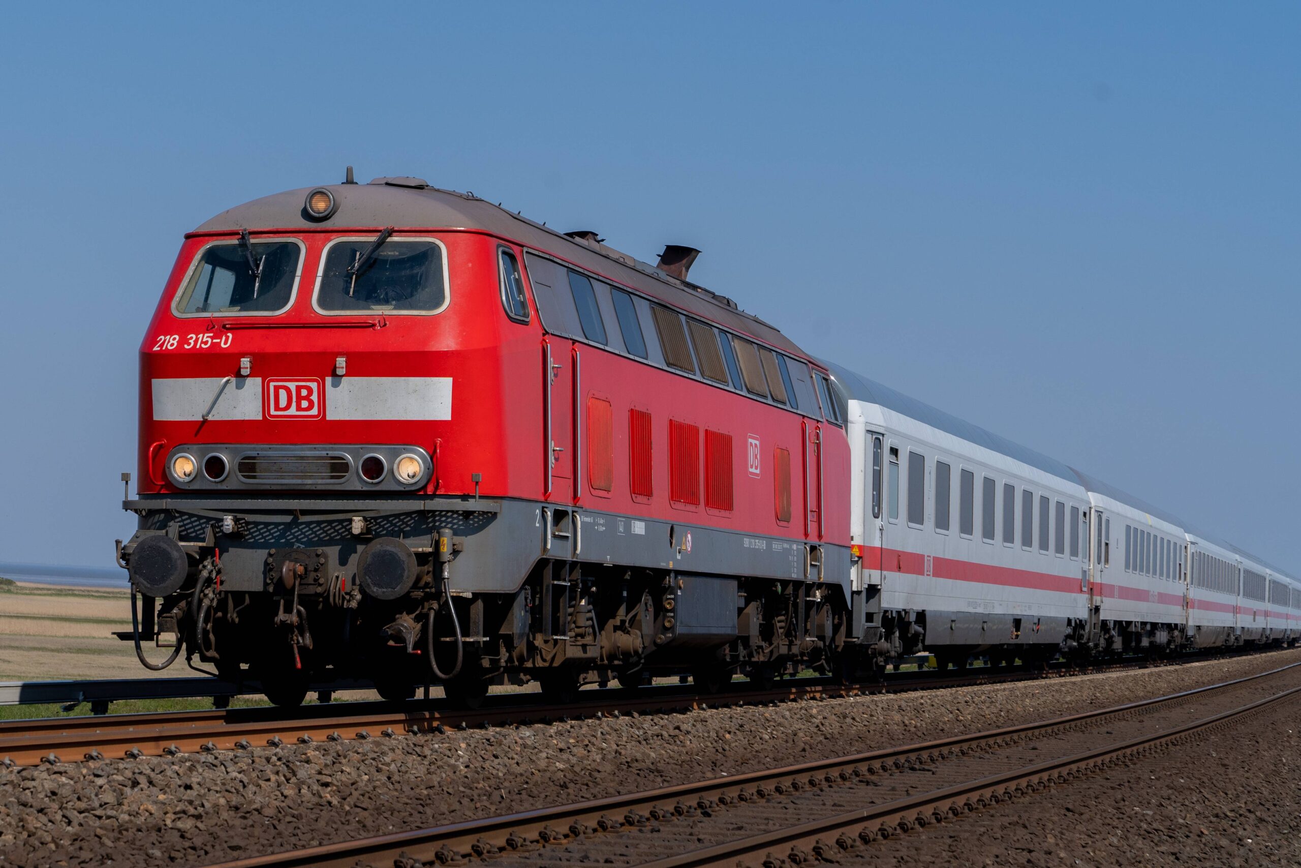 Auf der Strecke zwischen Hamburg und Sylt ist ein Zug am Donnerstag mit einer 24-köpfigen Schafherde kollidiert. (Symbolbild)