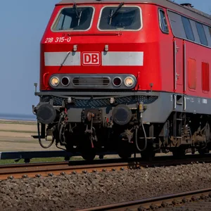 Auf der Strecke zwischen Hamburg und Sylt ist ein Zug am Donnerstag mit einer 24-köpfigen Schafherde kollidiert. (Symbolbild)