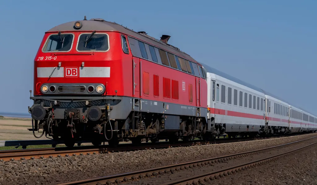 Auf der Strecke zwischen Hamburg und Sylt ist ein Zug am Donnerstag mit einer 24-köpfigen Schafherde kollidiert. (Symbolbild)