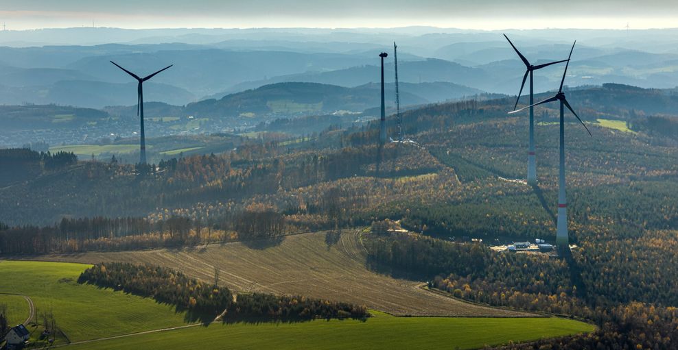 Windräder im Wald