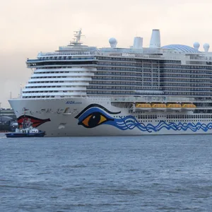 Im Jahr 2022 rechnet die Kreuzfahrtbranche wieder mit mehr Schiffanläufen im Hamburger Hafen.