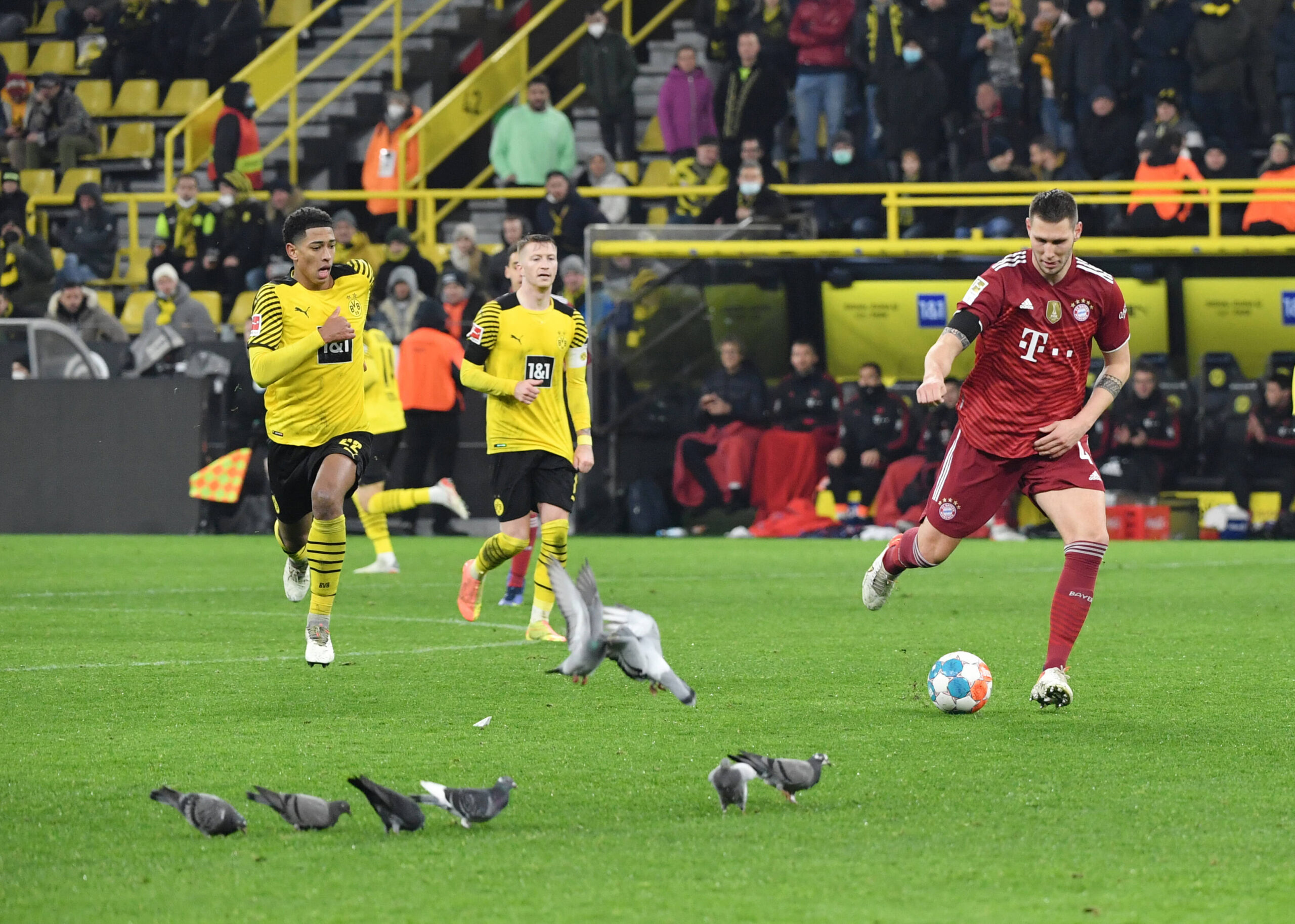 Bayern Münchens Niklas Süle im Dezember gegen Borussia Dortmund.