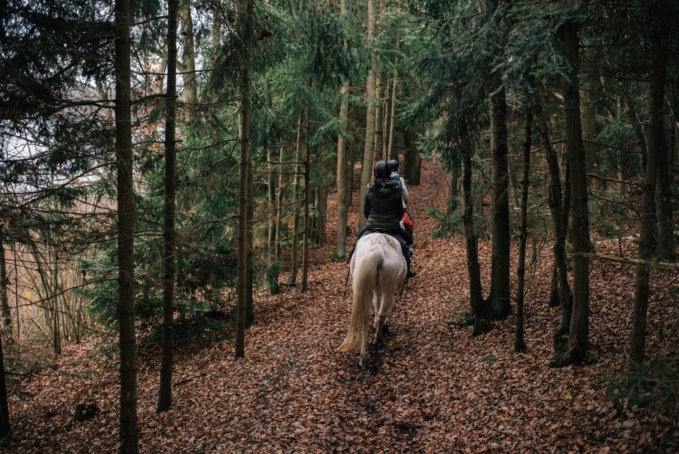 Reiter reiten auf ihren Pferde auf engen Pfaden durch einen Wald