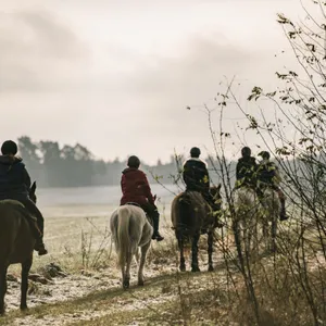 Reiter auf ihren Pferden im Morgennebel