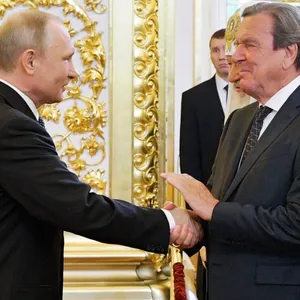 Die Freundschaft von Wladimir Putin (li.) und Gerhard Schröder sorgt seit Jahren für Kritik.