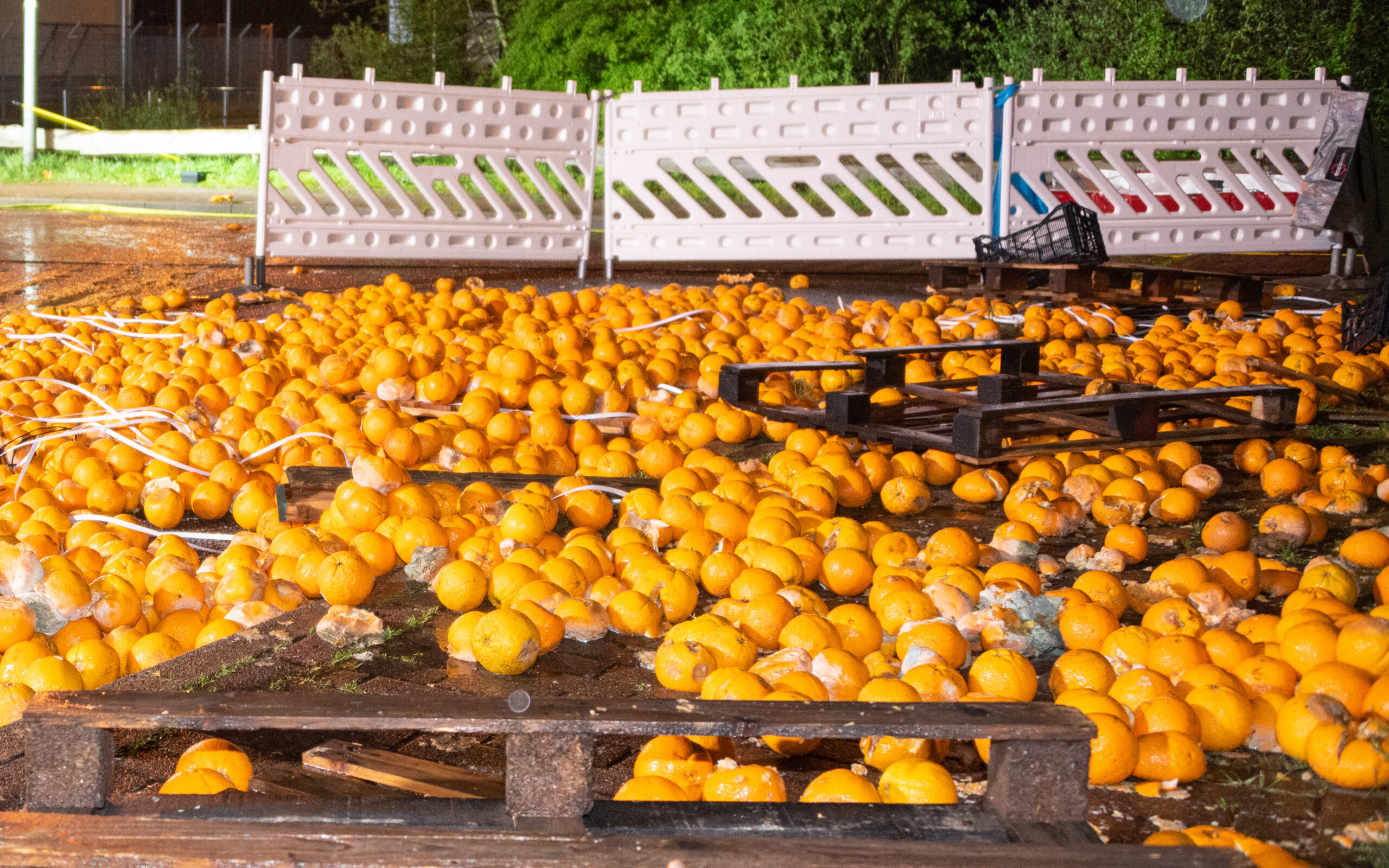 Erneut luden Unbekannte illegal mehrere Hundert Kilogramm Orangen im Landkreis Stade ab.