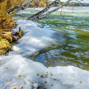 Dicke Eisschicht auf Gewässern