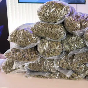 Von der Polizei sichergestelltes Marihuana (Symbolbild).