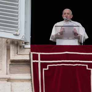 Papst Franziskus im Vatikan