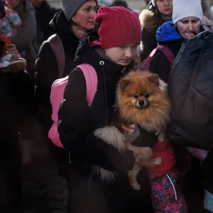 Ein kleines Mädchen hält ihren Hund auf dem Arm.