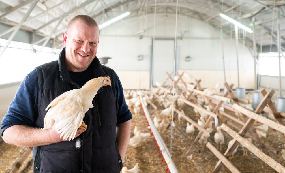 Ein Landwirt steht in einem Hühnerstall und hält einen Hahn auf dem Arm.