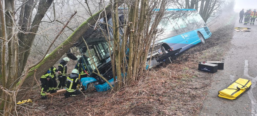 Bevor die Retter den Bus bergen konnten, mussten sie Bäume fällen.