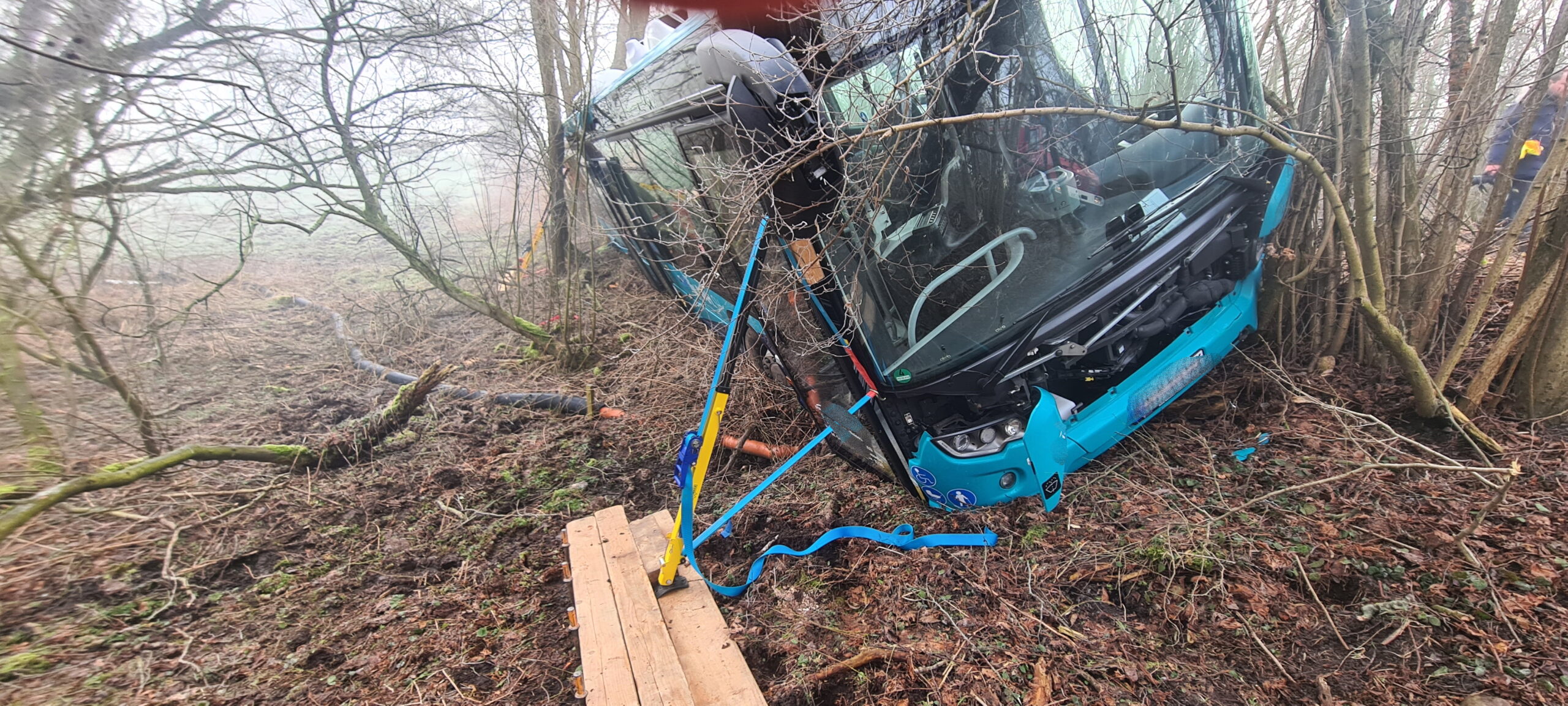 Der Bus blieb in einem Waldstück stehen.