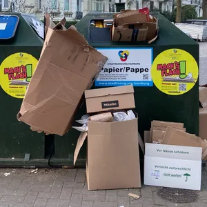 Die Altpapier-Container in der Curschmannstraße 12: Den Müll so neben die Container zu stellen ist eigentlich verboten - auch, wenn sie voll sind.