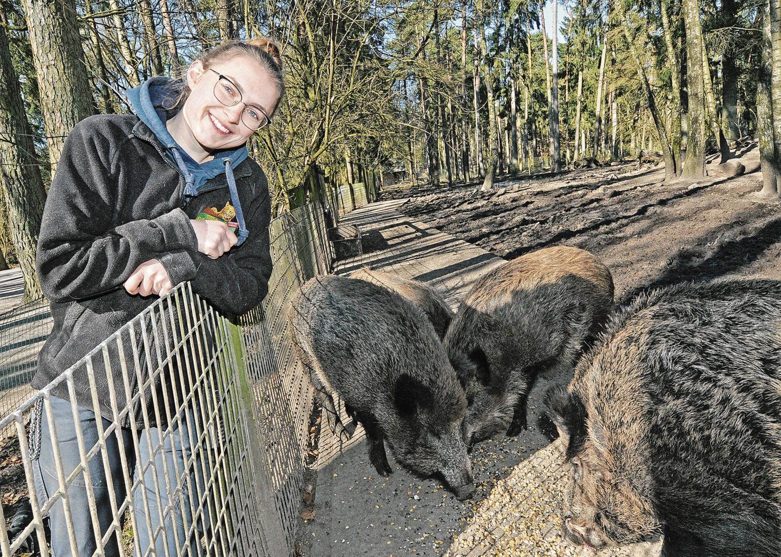 Tierpflegerin mit Wildschweinen