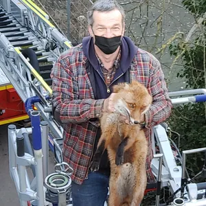 Retten macht offenbar mehr Spaß als gerettet werden. Der Fuchs wurde wohlbehalten wieder freigelassen.