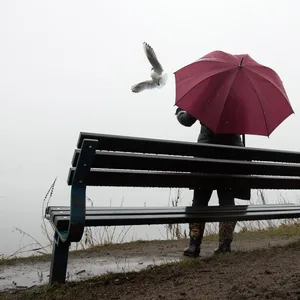 Frau füttert Vögel an der Alster