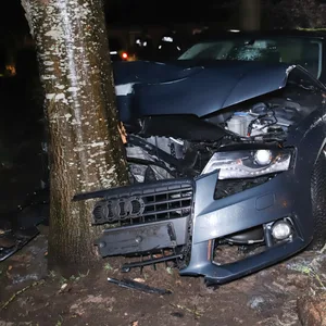 Verfolgungsjagd mit Polizei – Auto kracht in Wrist gegen Baum