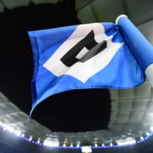 Wann werden die Profis des HSV wieder spielen können?
