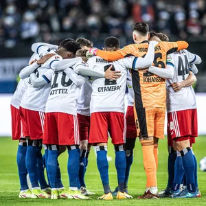 Die Profis des HSV