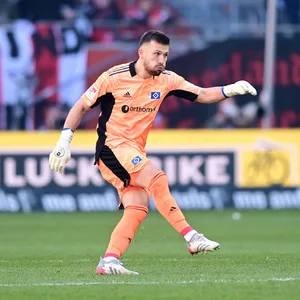 Daniel Heuer Fernandes
