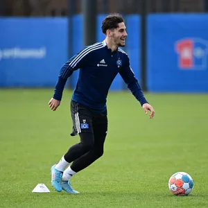 HSV-Profi Ludovit Reis im Training
