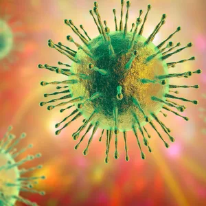 Das Coronavirus (Illustration).