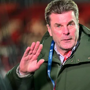 Nürnbergs Sport-Vorstand Dieter Hecking