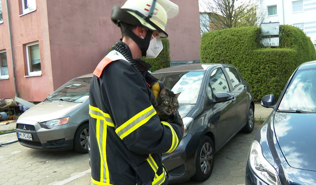 Zimmerbrand in Rahlstedt – Feuerwehr rettet Bewohner und Tiere