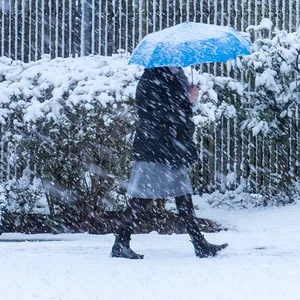 Kälteeinbruch in Norddeutschland: Ende März wurden viele Hamburger:innen sogar von Schnee überrascht. In der kommenden Nacht wird es frostig.