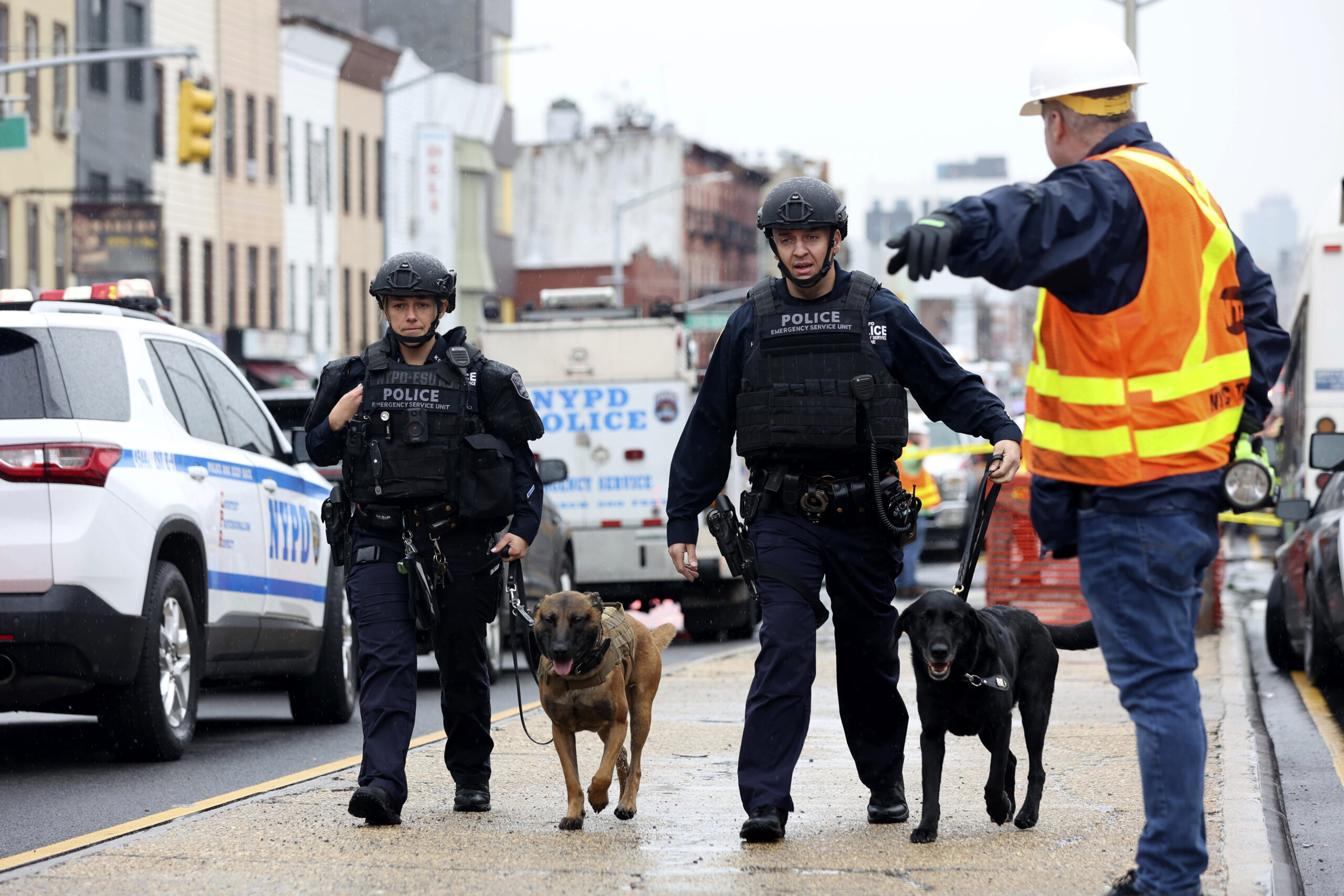 Polizisten gehen mit Bombenspürhunden in der Nähe des Tatorts an der New Yorker U-Bahn die Straße entlang.